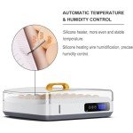 Large Automatic Egg Incubator for Chickens, Ducks, Quails