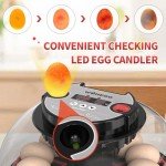 12-Egg Hatching Incubator with Humidity & Temp Display