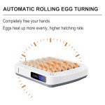 Large Automatic Egg Incubator for Chickens, Ducks, Quails