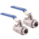 Stainless Steel Ball Valve 3/4" NPT (Pack of 2)
