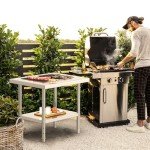 30" x 24" Stainless Steel Work Table with Shelves