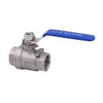 Stainless Steel Ball Valve 3/4" NPT (Pack of 2)