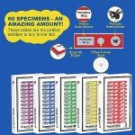 60-Piece Prepared Microscope Slides Set for Education