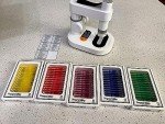 60-Piece Prepared Microscope Slides Set for Education