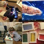 60-Piece Prepared Microscope Slides Set for Education