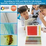 120 Prepared Microscope Slides Set for Science Education