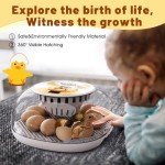 12-Egg Incubator with Auto Turner & Humidity Control