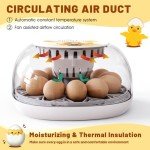 12-Egg Incubator with Auto Turner & Humidity Control