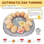 12-Egg Incubator with Auto Turner & Humidity Control