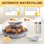 12-Egg Incubator with Auto Turner & Humidity Control