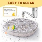 12-Egg Incubator with Auto Turner & Humidity Control