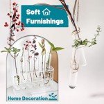 12pcs 60ml Glass Test Tubes with Cork Stopper