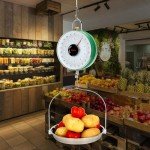 22LB Double-Sided Mechanical Hanging Scale with Pan