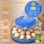 Automatic 18 Egg Incubator with Humidity Control