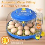 Automatic 18 Egg Incubator with Humidity Control