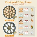 Automatic 18 Egg Incubator with Humidity Control