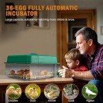 Shaledig 36 Egg Incubator with Automatic Turning