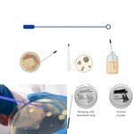 30 Pack 60mm Sterile Plastic Petri Dishes