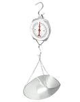 QWORK 110 lbs Spring Dial Weight Scale with Scoop