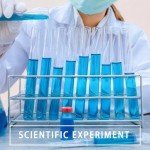 20PCS Clear Plastic Test Tubes for Storage