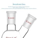 Stonylab 100ml Flat Bottom 2-Neck Lab Flask