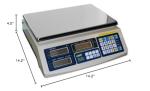Summit Measurement SAC-150 Triple Range Counting Scale
