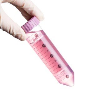 50mL Sterile Centrifuge Tubes with Colored Caps