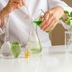 10 Pcs High Borosilicate Plastic Petri Dishes