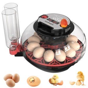 12 Egg Incubator with Auto Turning & Humidity Control