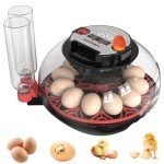 12 Egg Incubator with Auto Turning & Humidity Control