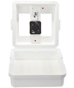 Little Giant® Digital Still Air Incubator - 41 Egg Capacity