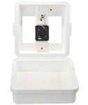 Little Giant® Digital Still Air Incubator - 41 Egg Capacity