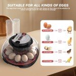12 Egg Incubator with Auto Turning & Humidity Control