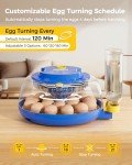 Besly 18 Egg Incubator with Automatic Turning