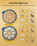 Besly 18 Egg Incubator with Automatic Turning