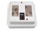 Little Giant® Digital Still Air Incubator - 41 Egg Capacity
