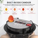 12 Egg Incubator with Auto Turning & Humidity Control