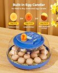 Besly 18 Egg Incubator with Automatic Turning
