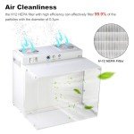 Portable HEPA H12 Laminar Flow Hood 17"x13