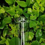 10 Inch Borosilicate Glass Gas Washing Bottle Set