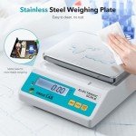 High Precision 3000g Electronic Lab Scale