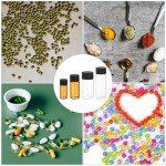 Clear Glass Vials 2ml - 50 Pack with Caps