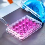 iplusmile 24-Plate Plastic Culture Plate Lid Ring