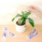 30-Pack 5ml Liquid Measuring Syringes with Caps