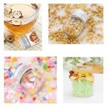 24-Pack 5mL Mini Clear Glass Bottles Set