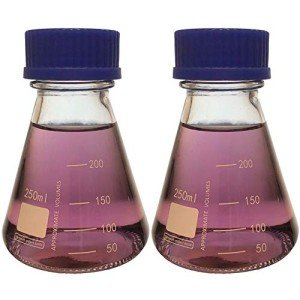 250ml Graduated Erlenmeyer Flask with Blue Cap (2)