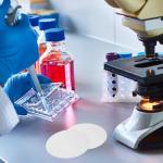 Hemobllo 100 Pcs Chromatography Separation Paper