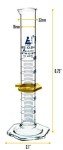 EISCO 25mL Graduated Cylinder with Protective Collar