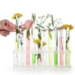 200 Clear Plastic Test Tubes with Caps, 12 ml