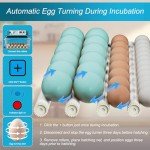 36 Egg Incubator with Automatic Turning and Humidity Control